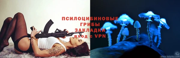 spice Дмитровск
