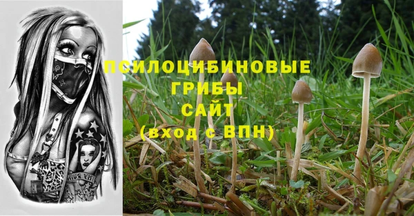 spice Дмитровск