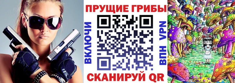 Псилоцибиновые грибы MAGIC MUSHROOMS  Купить закладки  Шагонар 